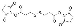 3,3′-Dithiodipropionic acid di(N-hydroxysuccinimide ester)