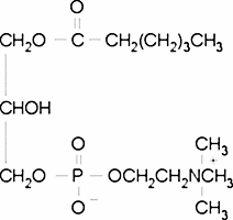 1-Hexanoyl-sn-glycero-3-phosphocholine
