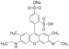 Sulforhodamine G