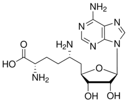 Sinefungin