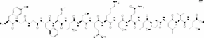 α-Endorphin human