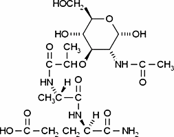 N-Acetylmuramyl-L-alanyl-L-isoglutamine