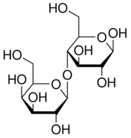 β-Lactose