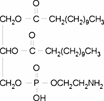 1,2-Didodecanoyl-sn-glycero-3-phosphoethanolamine