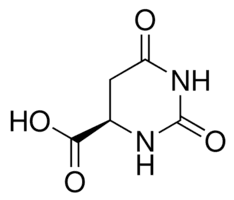 D-Hydroorotic acid