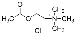 Acetylcholine chloride