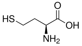 L-Homocysteine