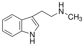 N-ω-Methyltryptamine