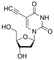 5-Ethynyl-2′-deoxyuridine, (EdU)