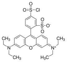 Sulforhodamine B acid chloride