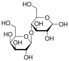 Lactose