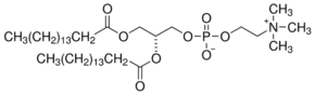1,2-Dipalmitoyl-sn-glycero-3-phosphocholine