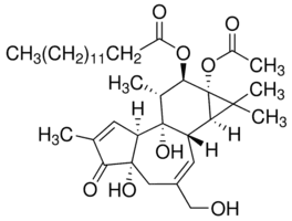 4α-Phorbol 12-myristate 13-acetate