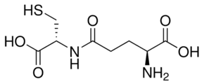 γ-Glu-Cys