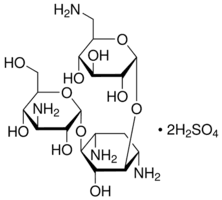 Kanamycin disulfate salt from Streptomyces kanamyceticus