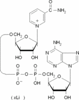 β-Nicotinamide adenine dinucleotide lithium salt from Saccharomyces cerevisiae