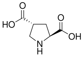 L-trans-Pyrrolidine-2,4-dicarboxylic acid