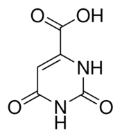 Orotic acid
