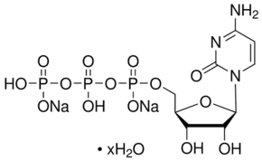Cytidine 5′-triphosphate disodium salt hydrate