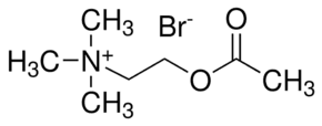 Acetylcholine bromide