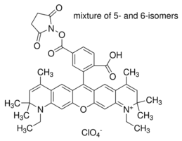 Atto 590 NHS ester