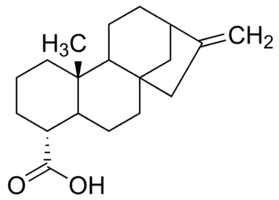 Kaurenoic acid