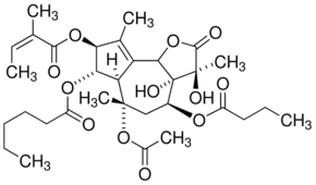 Thapsigargicin