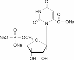 Orotidine 5′-monophosphate trisodium salt