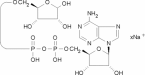 Adenosine 5′-diphosphoribose sodium salt