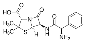 Ampicillin