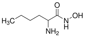 DL-Norleucine hydroxamate