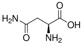 L-Asparagine