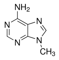 9-Methyladenine