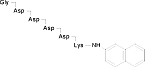 Gly-Asp-Asp-Asp-Asp-Lys-β-naphthylamide