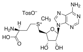 S-(5′-Adenosyl)-L-methionine p-toluenesulfonate