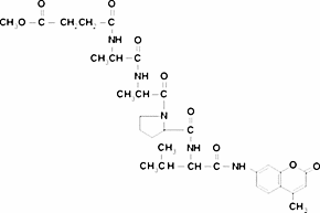N-Methoxysuccinyl-Ala-Ala-Pro-Val-7-amido-4-methylcoumarin