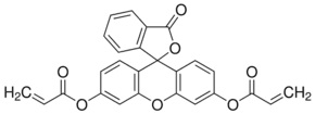 Fluorescein O,O′-diacrylate