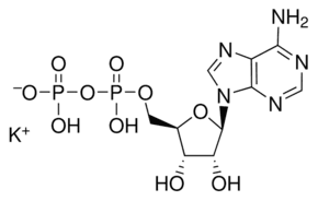 Adenosine 5′-diphosphate monopotassium salt dihydrate