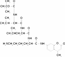 Boc-Val-Leu-Lys-7-amido-4-methylcoumarin