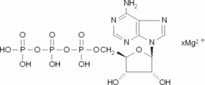 Adenosine 5′-triphosphate magnesium salt