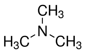 Trimethylamine