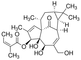 Ingenol-3-angelate