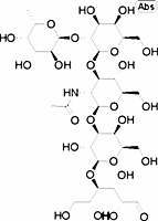 Lacto-N-fucopentaose I