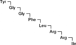 Dynorphin A Porcine Fragment 1-8