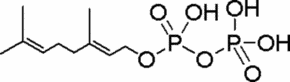 Geranyl pyrophosphate ammonium salt