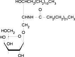 N-Lignoceroyldihydrogalactocerebroside