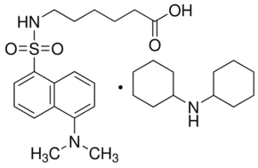 Dansyl-ε-aminocaproic acid (dicyclohexylammonium) salt