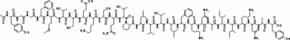 N-Acetyl-β-Endorphin Fragment 1-27 Human