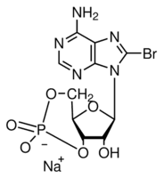 8-Bromoadenosine 3′,5′-cyclic monophosphate sodium salt