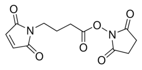 4-Maleimidobutyric acid N-hydroxysuccinimide ester